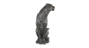 Panther sitzend FB