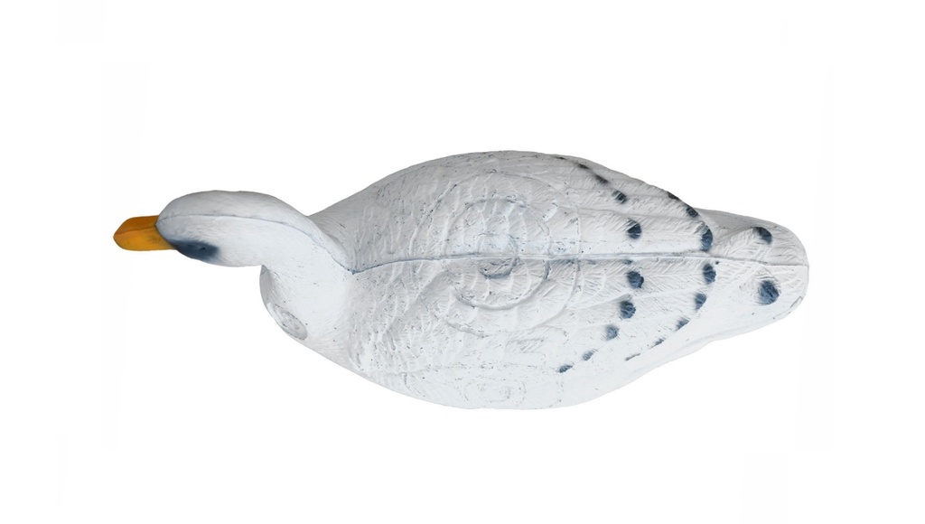 Schwan Leitold