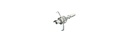 Schraubspitze JudoPoint 2pc. Zwickey (100Grain)