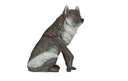 Wolf sitzend FB