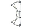 Compound Alpha Burner Hunting Hoyt