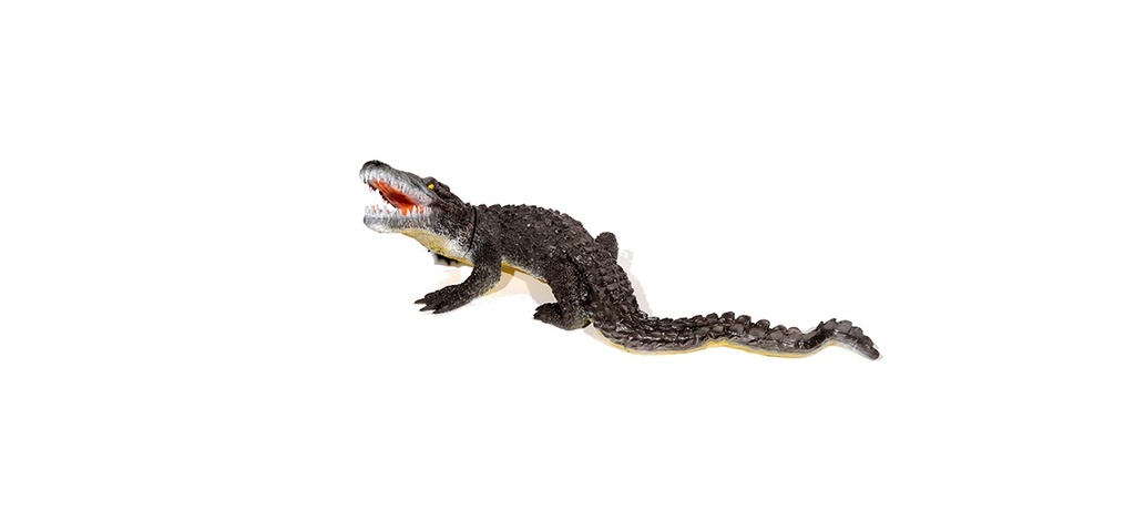 Alligator FB