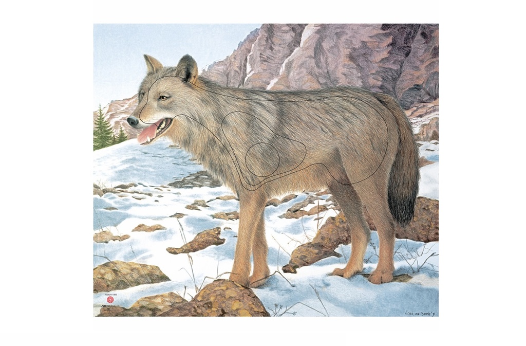 Tierbild Wolf FH