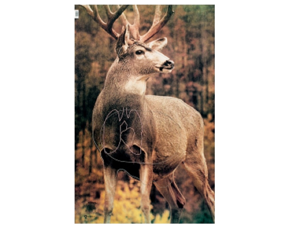 Tierbild Mule Deer Martin 