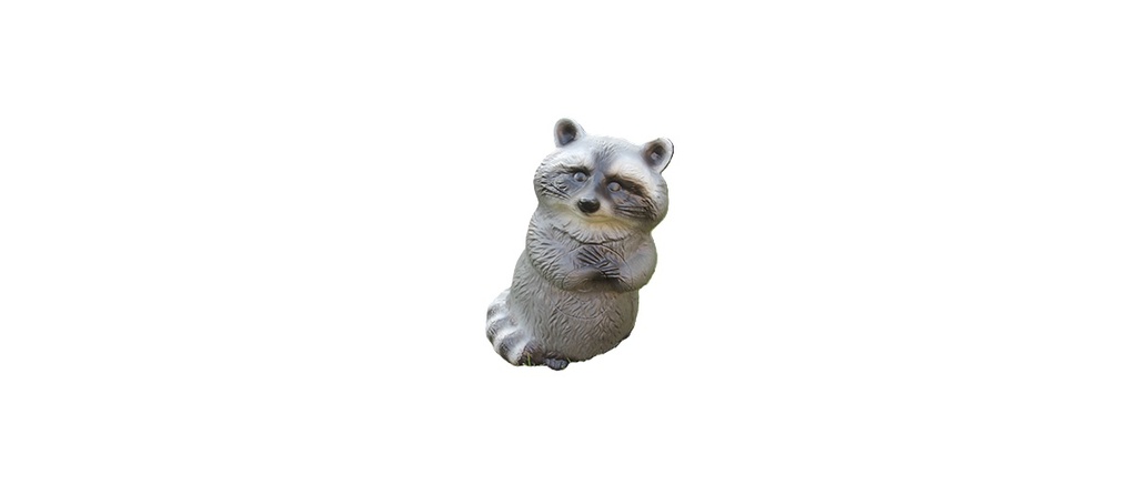 Waschbär FB 