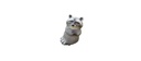 Waschbär FB 