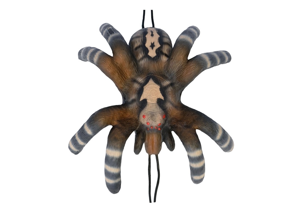 Kleine Vogelspinne Leitold