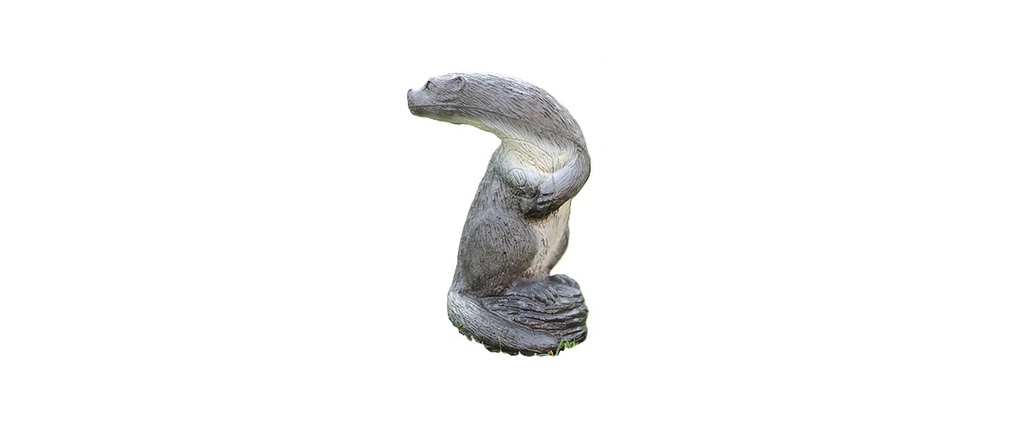 Otter stehend FB