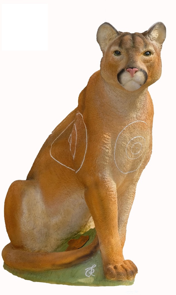 Berglöwe Puma sitzend SRT