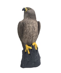 Falke Horst B.M.R.